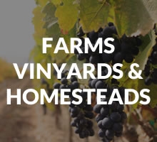 Farms / Vineyards / Homesteads