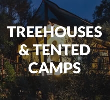 Treehouses / Tented Camps