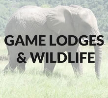 Game Lodges / Wildlife