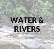 Water / Rivers