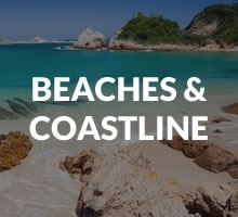 Beaches / Coastline