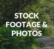 Stock Footage &amp; Photos