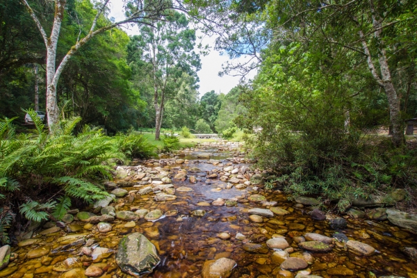 Knysna Jubilee Creek - Goudveld