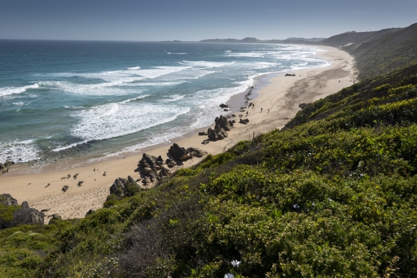 Knysna Brenton Beach
