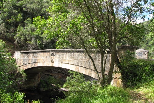 Knysna Homtini Pass
